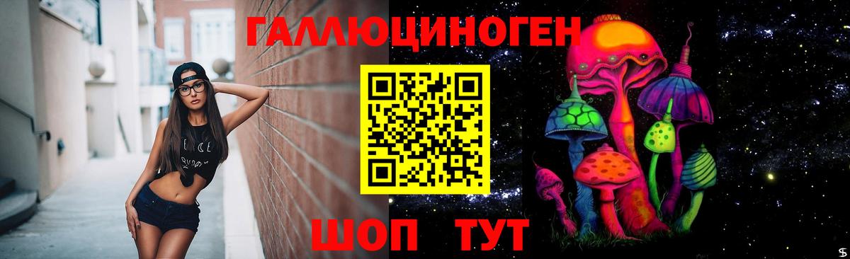 Псилоцибиновые грибы Psilocybe Ханты-Мансийск